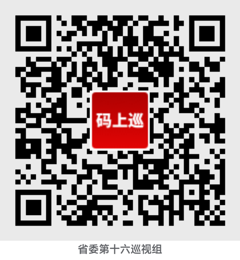 省委第十六巡视组巡视豫信电子科技集团有限公司党委工作动员会议召开 省委第十六巡视组巡视豫信电子科技集团有限公司党委工作动员会议召开
